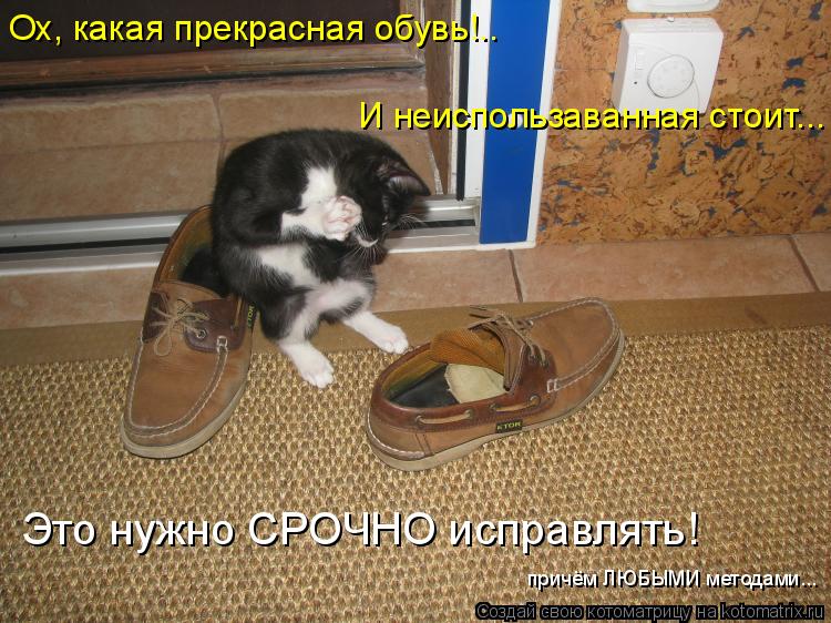 Ох, какая прекрасная обувь!.. И неиспользаванная стоит... Это нужно СРОЧНО исправлять! причём ЛЮБЫМИ ... Котоматрица: Ох, какая прекрасная обувь!.. И неиспользаванная стоит... Это нужно СРОЧНО исправлять! причём ЛЮБЫМИ методами...