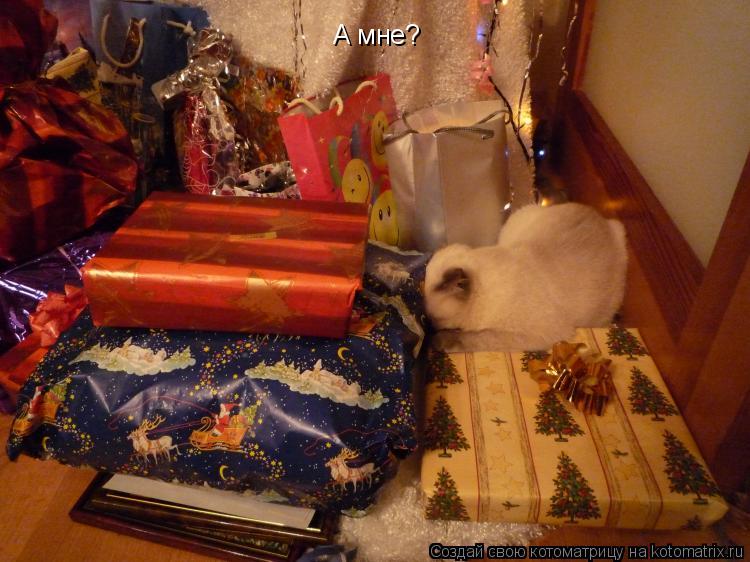 А мне?... Котоматрица: А мне?
