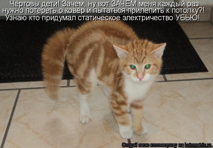 Чёртовы дети! Зачем, ну вот ЗАЧЕМ меня каждый раз нужно потереть о ковёр и пытаться прилепить к пото... Котоматрица: Чёртовы дети! Зачем, ну вот ЗАЧЕМ меня каждый раз нужно потереть о ковёр и пытаться прилепить к потолку?! Узнаю кто придумал статическое эле