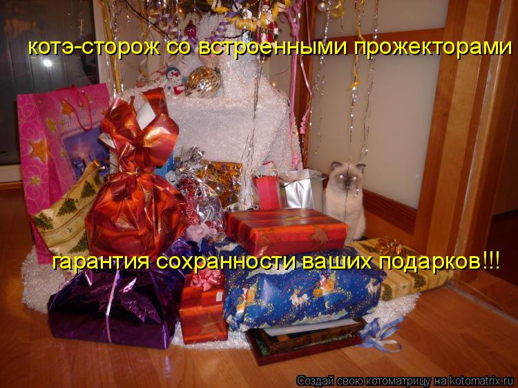 котэ-сторож со встроенными прожекторами гарантия сохранности ваших подарков!!!... Котоматрица: котэ-сторож со встроенными прожекторами гарантия сохранности ваших подарков!!!