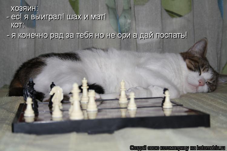 хозяин: - ес! я выиграл! шах и мат! кот: - я конечно рад за тебя но не ори а дай поспать!... Котоматрица: хозяин: - ес! я выиграл! шах и мат! кот: - я конечно рад за тебя но не ори а дай поспать!