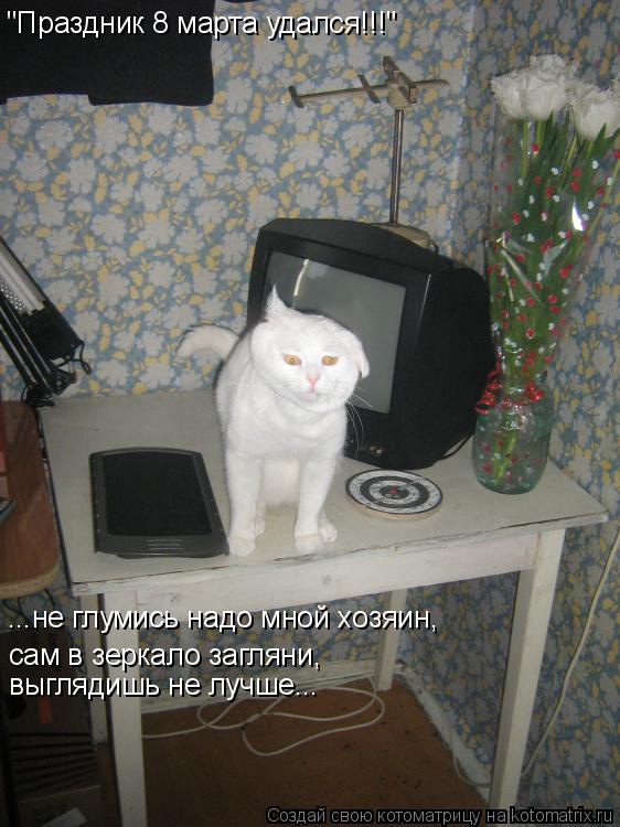 "Праздник 8 марта удался!!!" ...не глумись надо мной хозяин, сам в зеркало загляни, выглядишь не лучш... Котоматрица: "Праздник 8 марта удался!!!" ...не глумись надо мной хозяин, сам в зеркало загляни, выглядишь не лучше...