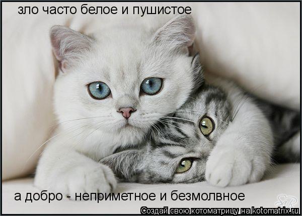 зло часто белое и пушистое а добро - неприметное и безмолвное... Котоматрица: зло часто белое и пушистое а добро - неприметное и безмолвное