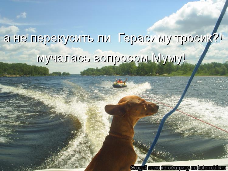 а не перекусить ли Герасиму тросик?! мучалась вопросом Муму!... Котоматрица: а не перекусить ли Герасиму тросик?! мучалась вопросом Муму!