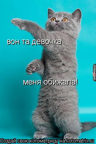вон та девочка меня обижала!... Котоматрица: вон та девочка меня обижала!