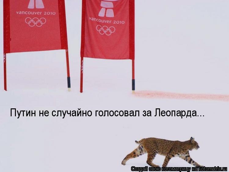 Путин не случайно голосовал за Леопарда...... Котоматрица: Путин не случайно голосовал за Леопарда...