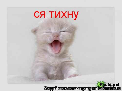 ся тихну... Котоматрица: ся тихну