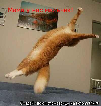 Мама у нас мальчик!... Котоматрица: Мама у нас мальчик!