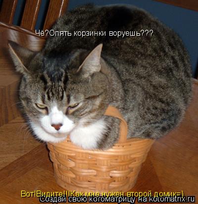 Чё?Опять корзинки воруешь??? Вот!Видите!!!Как мне нужен второй домик=)... Котоматрица: Чё?Опять корзинки воруешь??? Вот!Видите!!!Как мне нужен второй домик=)