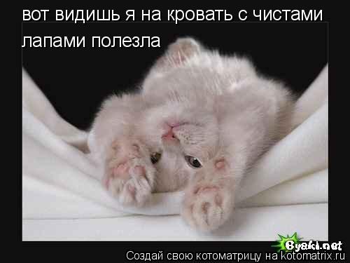 вот видишь я на кровать с чистами лапами полезла... Котоматрица: вот видишь я на кровать с чистами лапами полезла