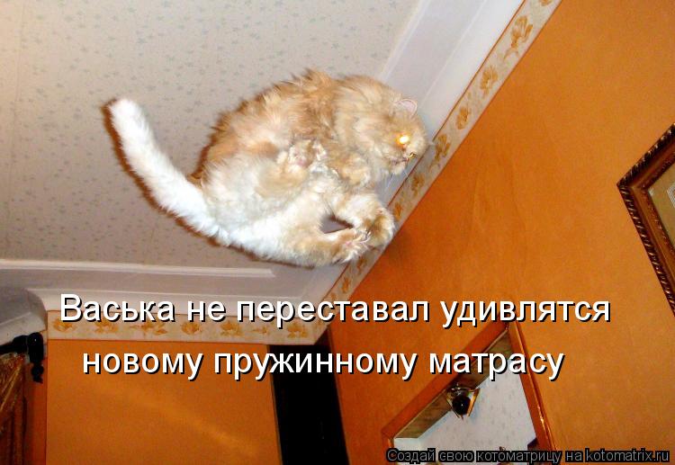 Васька не переставал удивлятся новому пружинному матрасу... Котоматрица: Васька не переставал удивлятся новому пружинному матрасу