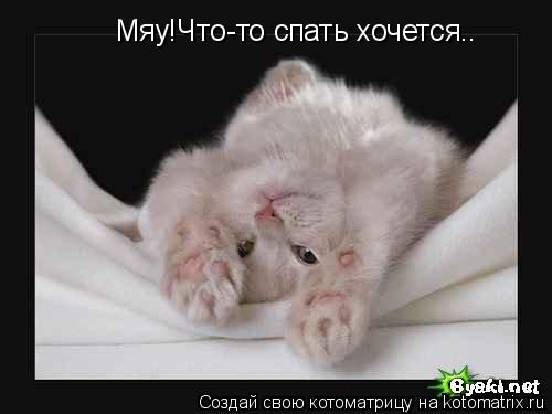 Мяу!Что-то спать хочется..... Котоматрица: Мяу!Что-то спать хочется..