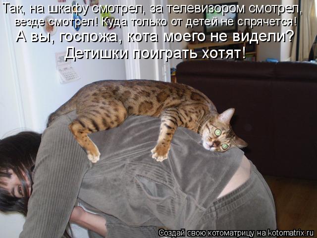 Так, на шкафу смотрел, за телевизором смотрел, везде смотрел! Куда только от детей не спрячется! А в... Котоматрица: Так, на шкафу смотрел, за телевизором смотрел, везде смотрел! Куда только от детей не спрячется! А вы, госпожа, кота моего не видели? Детишки