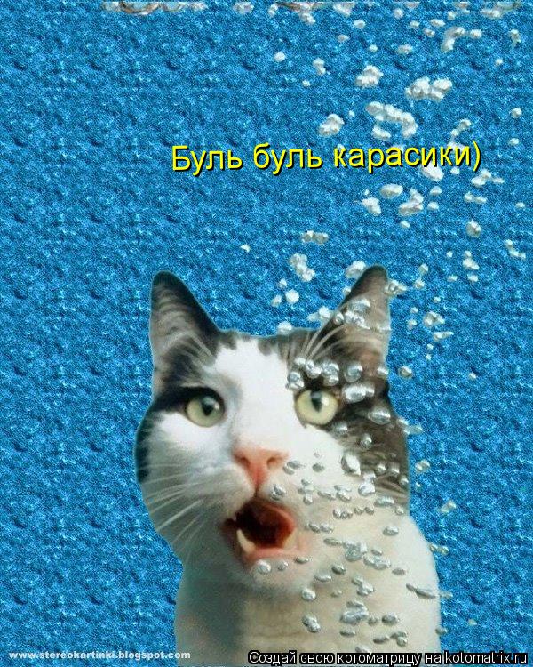 Буль буль карасики)... Котоматрица: Буль буль карасики)