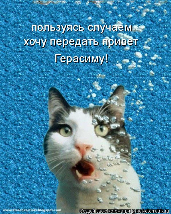 пользуясь случаем хочу передать привет Герасиму!... Котоматрица: пользуясь случаем хочу передать привет Герасиму!
