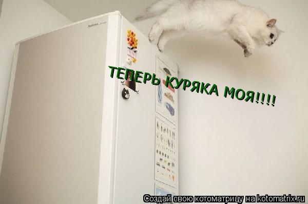 ТЕПЕРЬ КУРЯКА МОЯ!!!!... Котоматрица: ТЕПЕРЬ КУРЯКА МОЯ!!!!