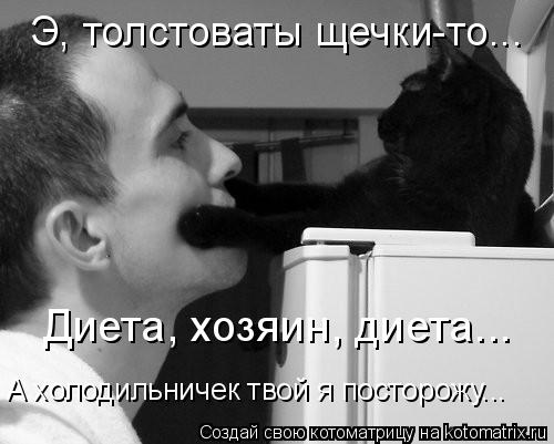 Э, толстоваты щечки-то... Диета, хозяин, диета... А холодильничек твой я посторожу...... Котоматрица: Э, толстоваты щечки-то... Диета, хозяин, диета... А холодильничек твой я посторожу...