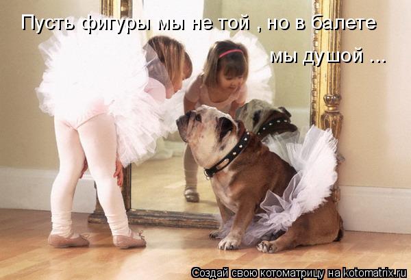 Пусть фигуры мы не той , но в балете мы душой ...... Котоматрица: Пусть фигуры мы не той , но в балете мы душой ...