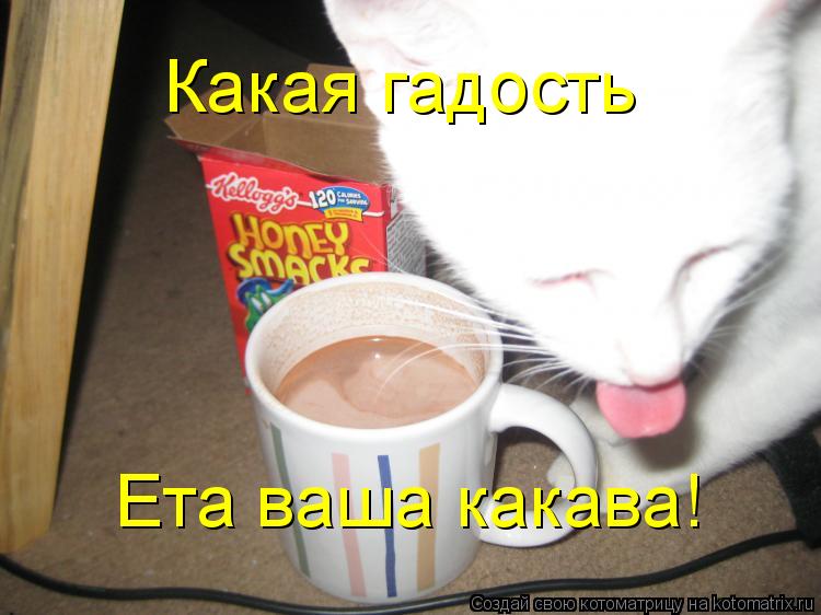 Какая гадость Ета ваша какава!... Котоматрица: Какая гадость Ета ваша какава!
