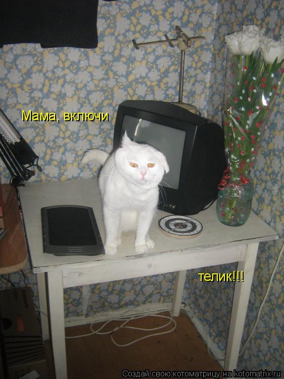 Мама, включи телик!!!... Котоматрица: Мама, включи телик!!!