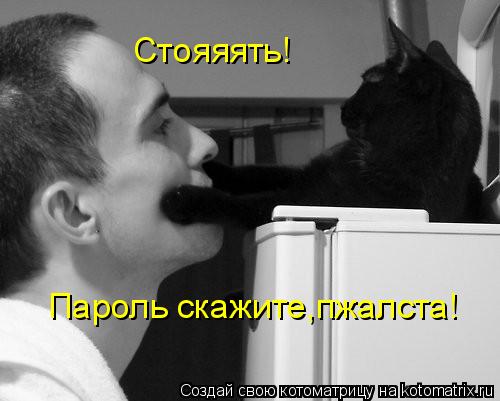 Стояяять! Пароль скажите,пжалста!... Котоматрица: Стояяять! Пароль скажите,пжалста!