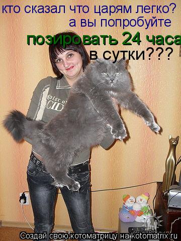 кто сказал что царям легко? а вы попробуйте позировать 24 часа в сутки???... Котоматрица: кто сказал что царям легко? а вы попробуйте позировать 24 часа в сутки???