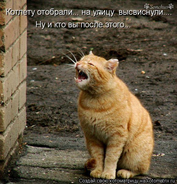 Котлету отобрали... на улицу высвиснули....Ну и кто вы после этого,,,, Котлету отобрали... на улицу ... Котоматрица: Котлету отобрали... на улицу высвиснули....Ну и кто вы после этого,,,, Котлету отобрали... на улицу высвиснули.... Ну и кто вы после этого...