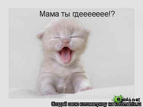 Мама ты гдеееееее!?... Котоматрица: Мама ты гдеееееее!?
