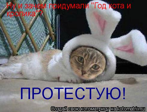 Ну и зачем придумали "Год кота и кролика"? ПРОТЕСТУЮ!... Котоматрица: Ну и зачем придумали "Год кота и кролика"? ПРОТЕСТУЮ!