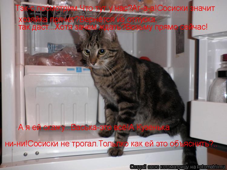 Тэк-с,посмотрим.Что тут у нас?Аг-а-а!Сосиски значит хозяйка прячет?Вернётся из отпуска, так даст...Хо... Котоматрица: Тэк-с,посмотрим.Что тут у нас?Аг-а-а!Сосиски значит хозяйка прячет?Вернётся из отпуска, так даст...Хотя зачем ждать?Возьму прямо сейчас! А я ей