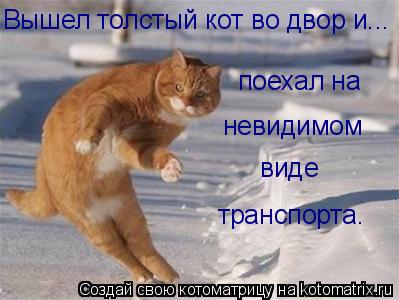 Вышел толстый кот во двор и... поехал на невидимом виде транспорта.... Котоматрица: Вышел толстый кот во двор и... поехал на невидимом виде транспорта.