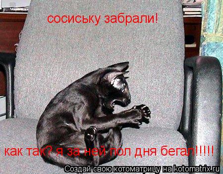 сосиську забрали! как так? я за ней пол дня бегал!!!!!... Котоматрица: сосиську забрали! как так? я за ней пол дня бегал!!!!!