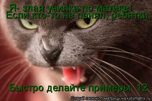 Я- злая училка по матике! Если кто-то не понял, ребятки, Быстро делайте примеры №12... Котоматрица: Я- злая училка по матике! Если кто-то не понял, ребятки, Быстро делайте примеры №12