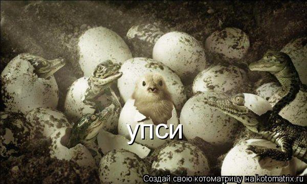 упси... Котоматрица: упси