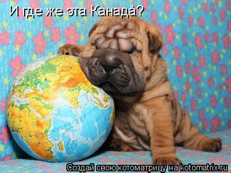 И где же эта Канадà?... Котоматрица: И где же эта Канадà?