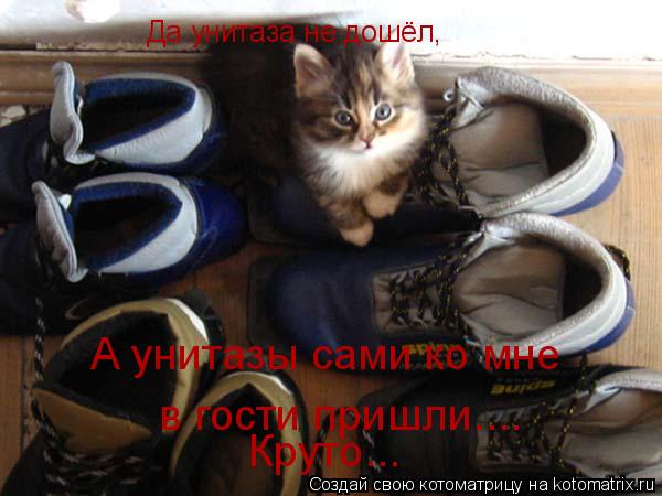 Да унитаза не дошёл, А унитазы сами ко мне в гости пришли.... Круто...... Котоматрица: Да унитаза не дошёл, А унитазы сами ко мне в гости пришли.... Круто...