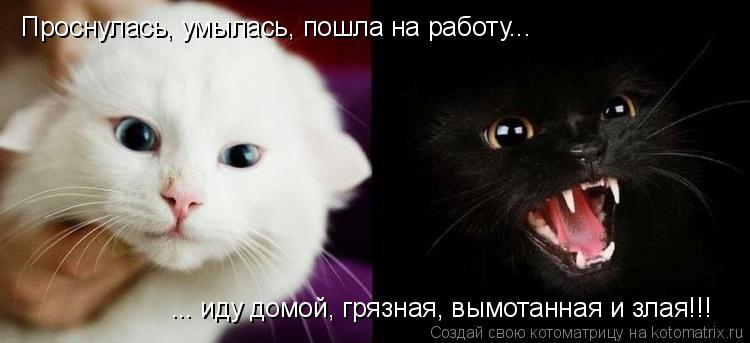 Проснулась, умылась, пошла на работу... ... иду домой, грязная, вымотанная и злая!!!... Котоматрица: Проснулась, умылась, пошла на работу... ... иду домой, грязная, вымотанная и злая!!!