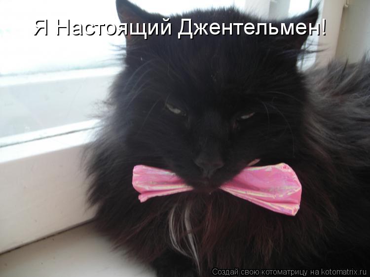 Я Настоящий Джентельмен!... Котоматрица: Я Настоящий Джентельмен!