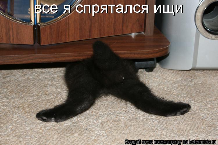 все я спрятался ищи... Котоматрица: все я спрятался ищи