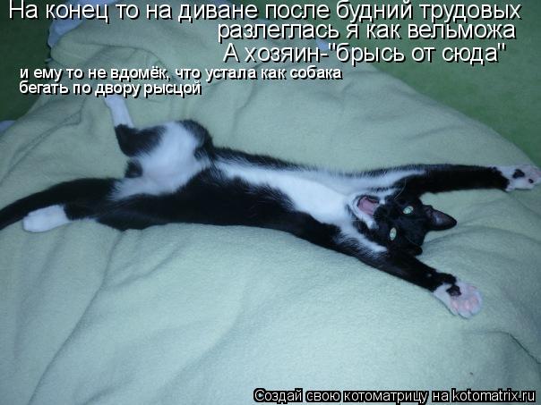 На конец то на диване после будний трудовых разлеглась я как вельможа А хозяин-"брысь от сюда" и ему ... Котоматрица: На конец то на диване после будний трудовых разлеглась я как вельможа А хозяин-"брысь от сюда" и ему то не вдомёк, что устала как собака бегат