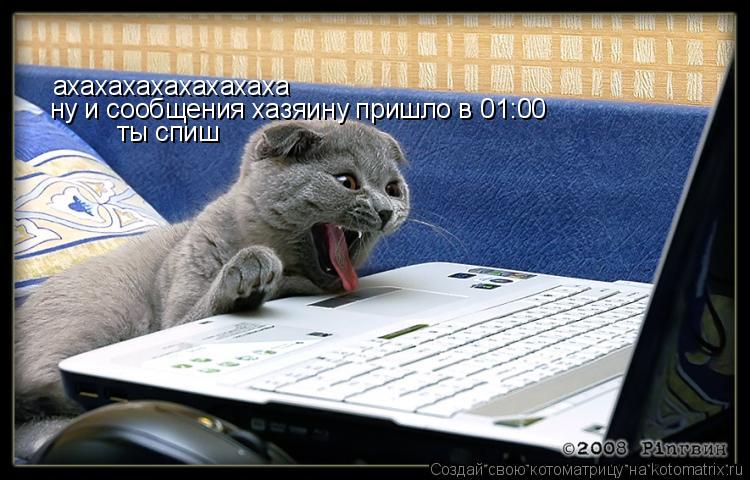 ахахахахахахахаха ну и сообщения хазяину пришло в 01:00 ты спиш... Котоматрица: ахахахахахахахаха ну и сообщения хазяину пришло в 01:00 ты спиш