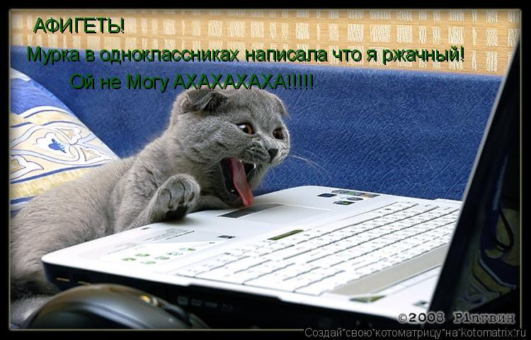 АФИГЕТЬ! Мурка в одноклассниках написала что я ржачный! Ой не Могу АХАХАХАХА!!!!!... Котоматрица: АФИГЕТЬ! Мурка в одноклассниках написала что я ржачный! Ой не Могу АХАХАХАХА!!!!!