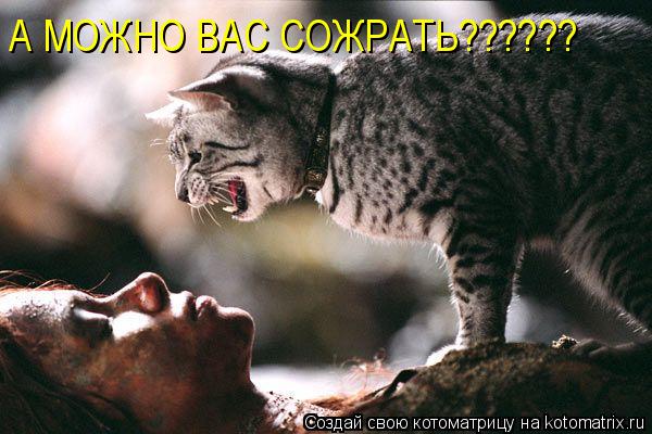 А МОЖНО ВАС СОЖРАТЬ??????... Котоматрица: А МОЖНО ВАС СОЖРАТЬ??????