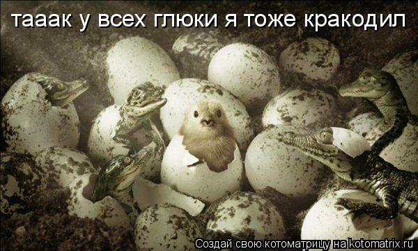 тааак у всех глюки я тоже кракодил... Котоматрица: тааак у всех глюки я тоже кракодил