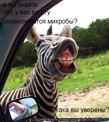а вы знаете , что у вас во рту размножаются микробы? хаха вы уверены?... Котоматрица: а вы знаете , что у вас во рту размножаются микробы? хаха вы уверены?