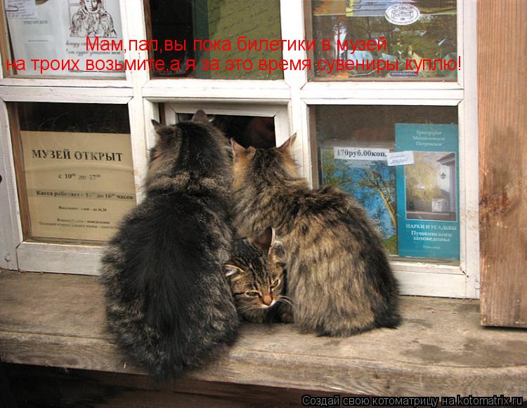 Мам,пап,вы пока билетики в музей на троих возьмите,а я за это время сувениры куплю!... Котоматрица: Мам,пап,вы пока билетики в музей на троих возьмите,а я за это время сувениры куплю!