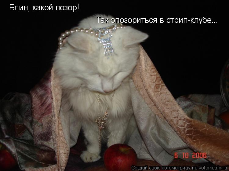 Блин, какой позор! Так опозориться в стрип-клубе...... Котоматрица: Блин, какой позор! Так опозориться в стрип-клубе...