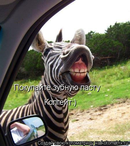 Покупайте зубную пасту Колгейт:)... Котоматрица: Покупайте зубную пасту Колгейт:)