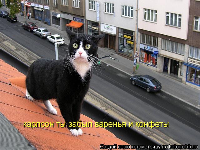 карлсон ты забыл варенья и конфеты... Котоматрица: карлсон ты забыл варенья и конфеты