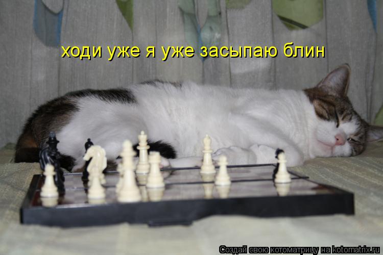 ходи уже я уже засыпаю блин... Котоматрица: ходи уже я уже засыпаю блин